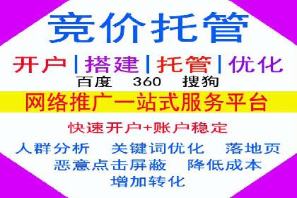 谷歌SEM案例研究：数据分析与效果评估